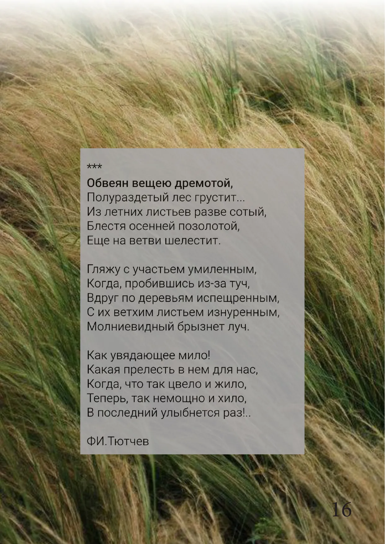 Страница 17