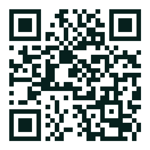 QR-код выпуска «Ноябрьский выпуск»