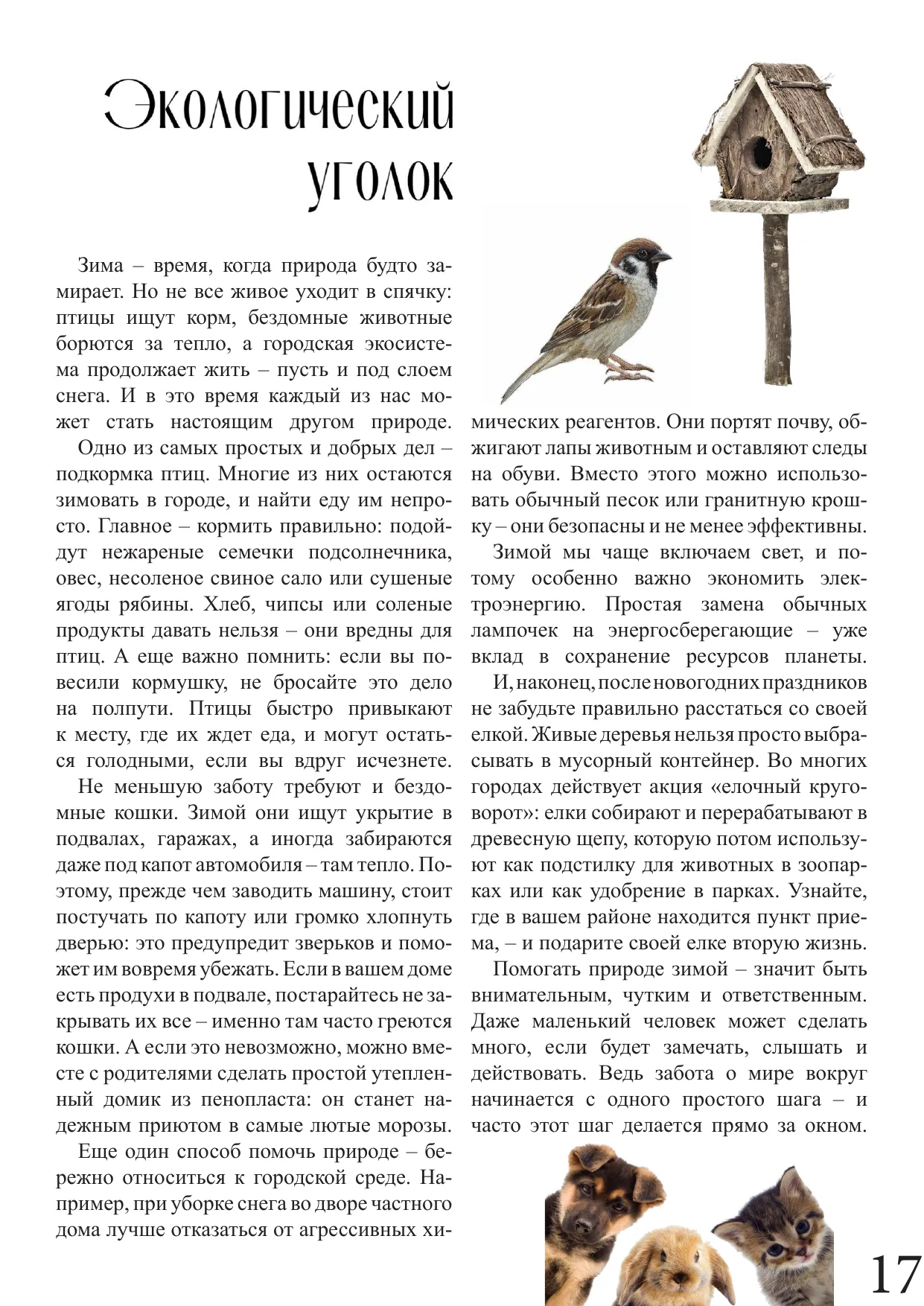 Страница 17