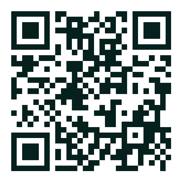 QR-код выпуска «Январский выпуск»