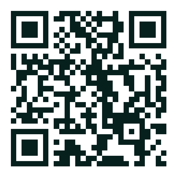 QR-код выпуска «Февральский выпуск»