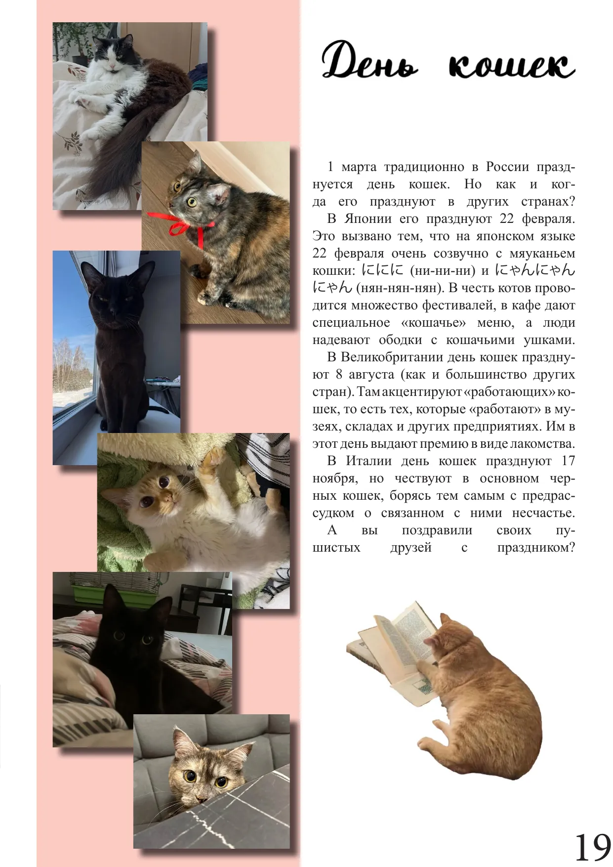 Страница 19
