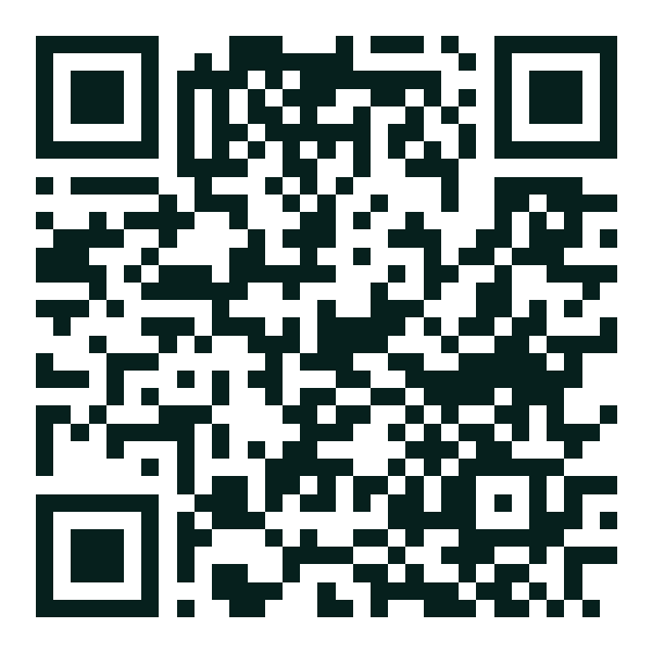 QR-код выпуска «Спецвыпуск «Конвенция»»